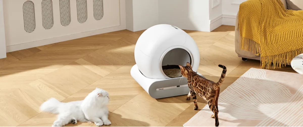 De Litteroo One in een lichte woonkamer, met een kat die naar binnen loopt