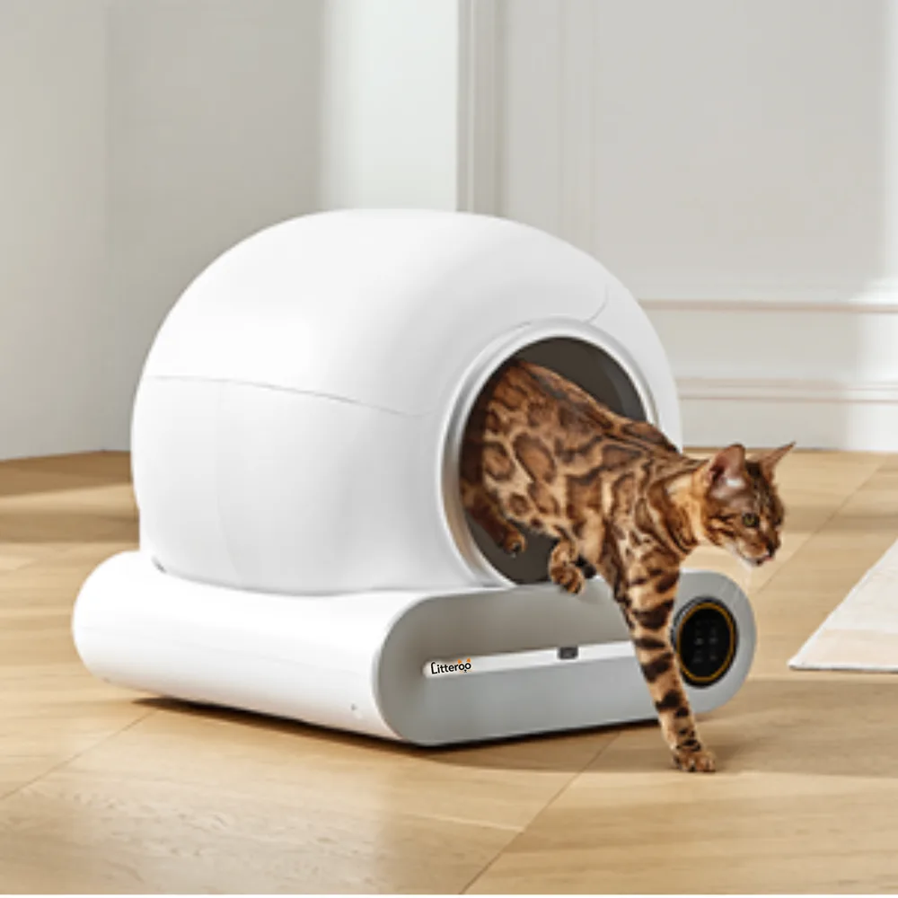 Een gestreepte kat stapt uit de Litteroo One