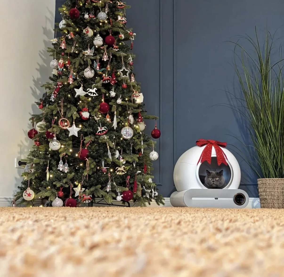 De Litteroo One naast de kerstboom in een woonkamer met een blauwe muur